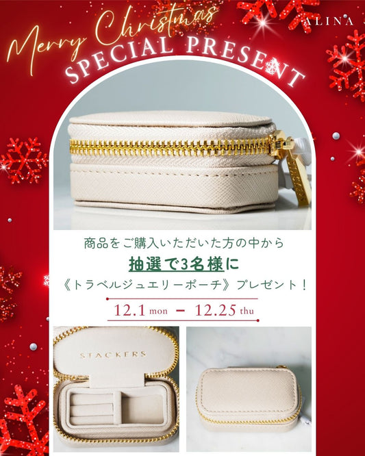 🎄 ALINAからのクリスマスプレゼント 🎁