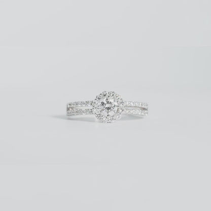 Pt900 ダブルアーム ヘイロー リング #14